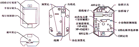 紅外線檢測器（防盜報警器/紅外線報警器）XP-43內部結構